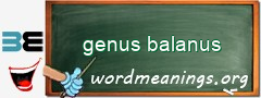 WordMeaning blackboard for genus balanus